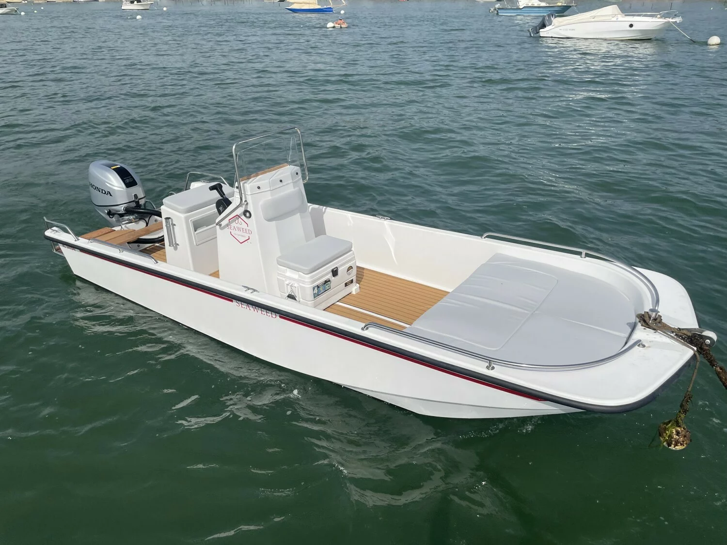 Seaweed 5.4 Console - Suzuki 50cv