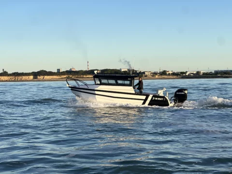 Norden 770 - Suzuki 350cv double hélice - Electronique Garmin Prêt à naviguer - photo 2