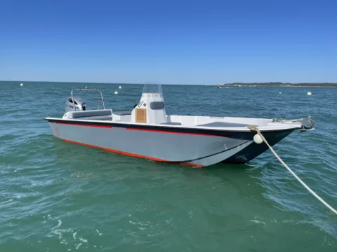 Seaweed 675 - Suzuki 150cv - photo 5