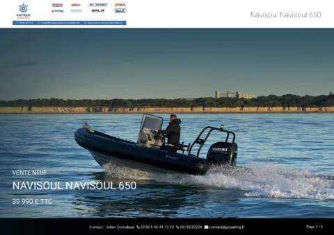 Navisoul 650 pêche - Suzuki 115cv - Remorque Sunway - photo 6