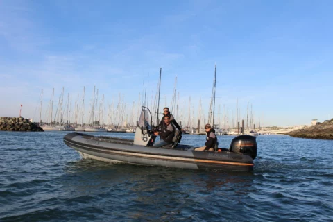 Patrol 650 PVC - DF115BTL - Remorque routière - photo 7
