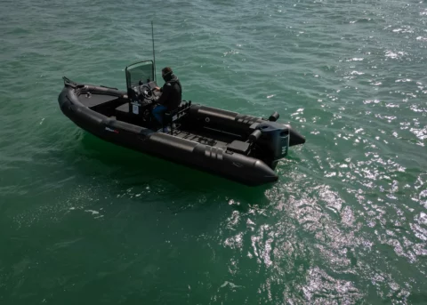 Tarpon DV65 PVC - Suzuki 115cv - photo 7