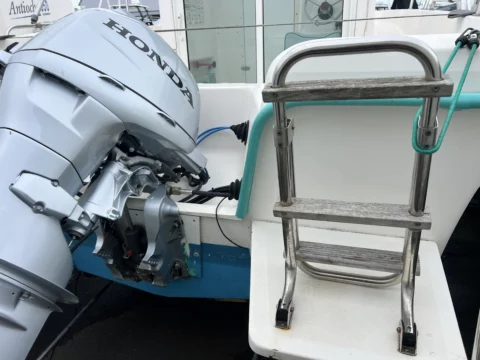 Mery Nautic 540 - Honda 50cv 2024 - remorque routière - photo 9