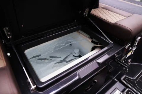 Brig Navigator 26 Hypalon - Suzuki 250cv - photo 9