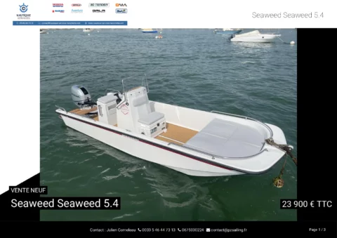 Seaweed 5.4 Console - Suzuki 50cv - photo 9