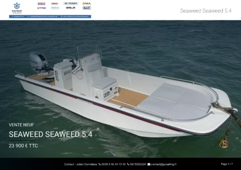 Seaweed 5.4 Console - Suzuki 50cv - photo 10