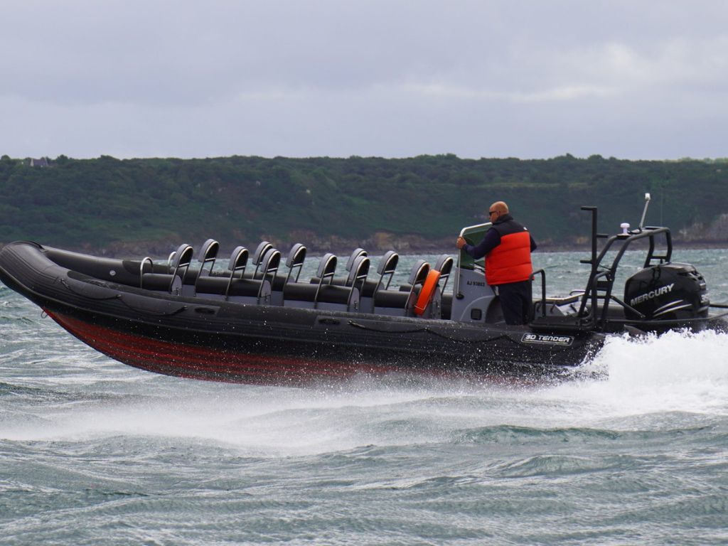 Nautique Services la Rochelle - Vente et entretien bateau - Patrol 860 3D Tender