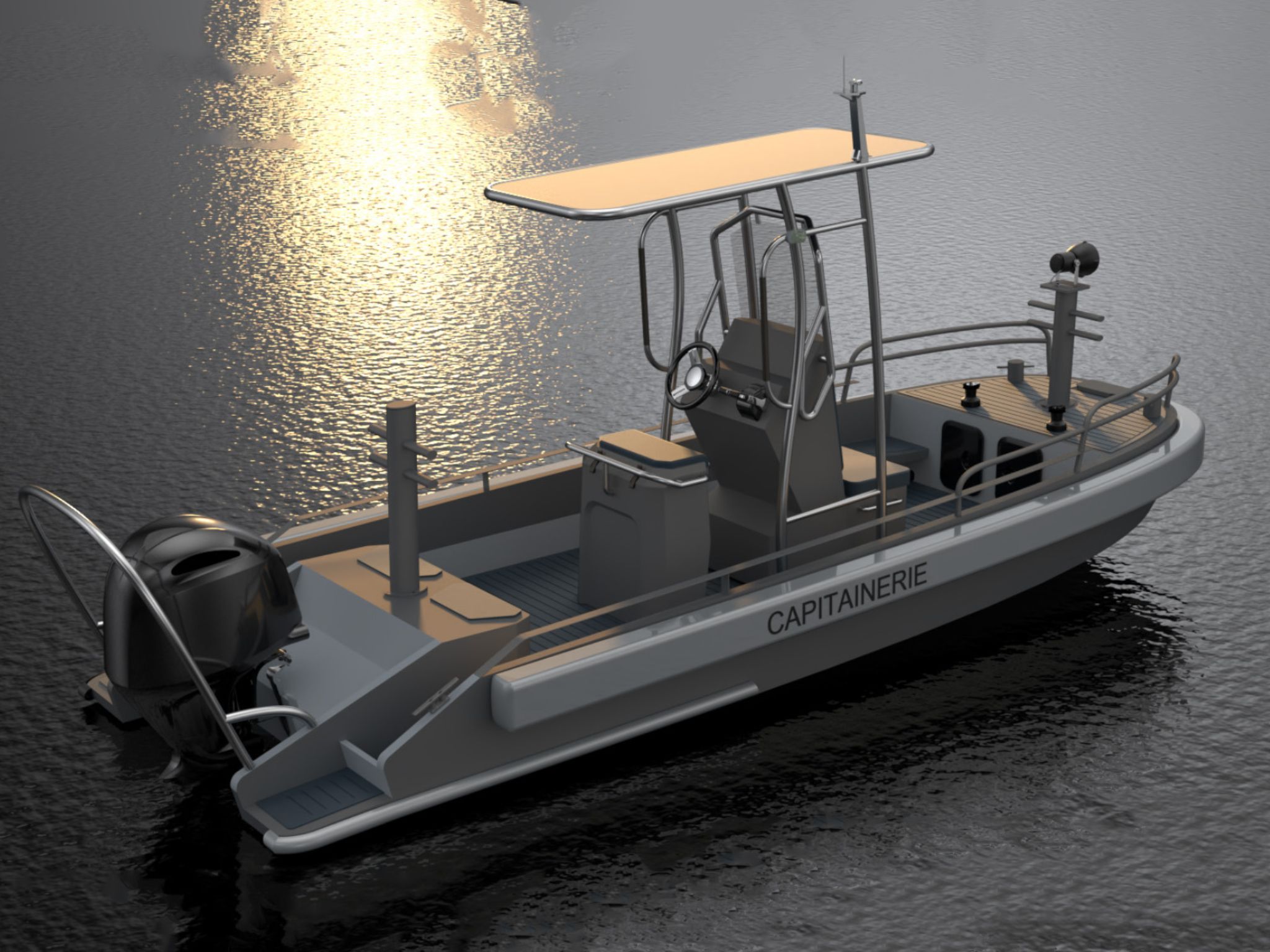 Nautique Services la Rochelle - Vente et entretien bateau - 3D Tender PILOT 560