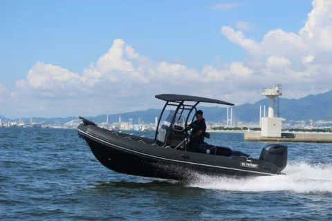 Dream 655 PVC - Suzuki 140cv - photo 2