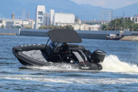 Dream 655 PVC - Suzuki 140cv - photo 3