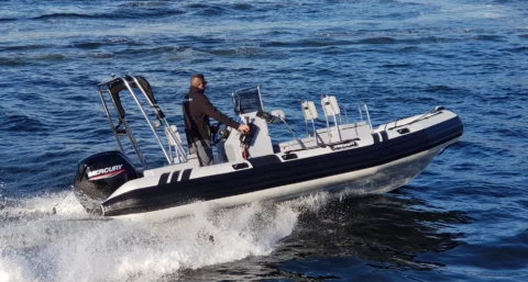 Tarpon AD60 PVC - Suzuki 115cv