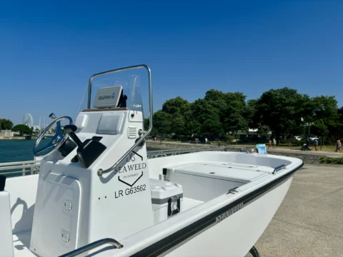 Seaweed 535 Console - Suzuki 60ATL - Remorque routière